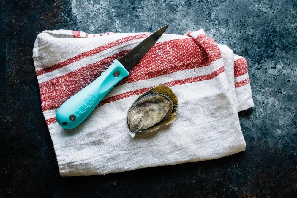 TOADFISH PUT' EM BACK OYSTER KNIFE (TEAL HANDLE)