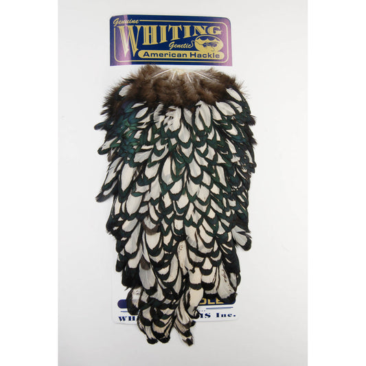 Whiting American Hen Saddle