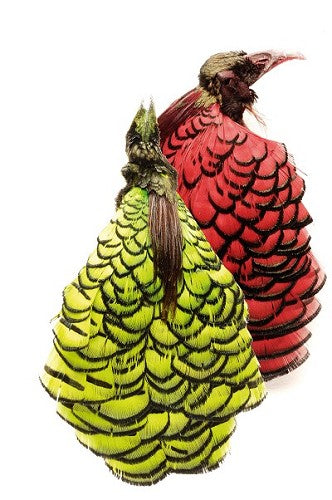 Amherst Pheasant Complete Head Dyed