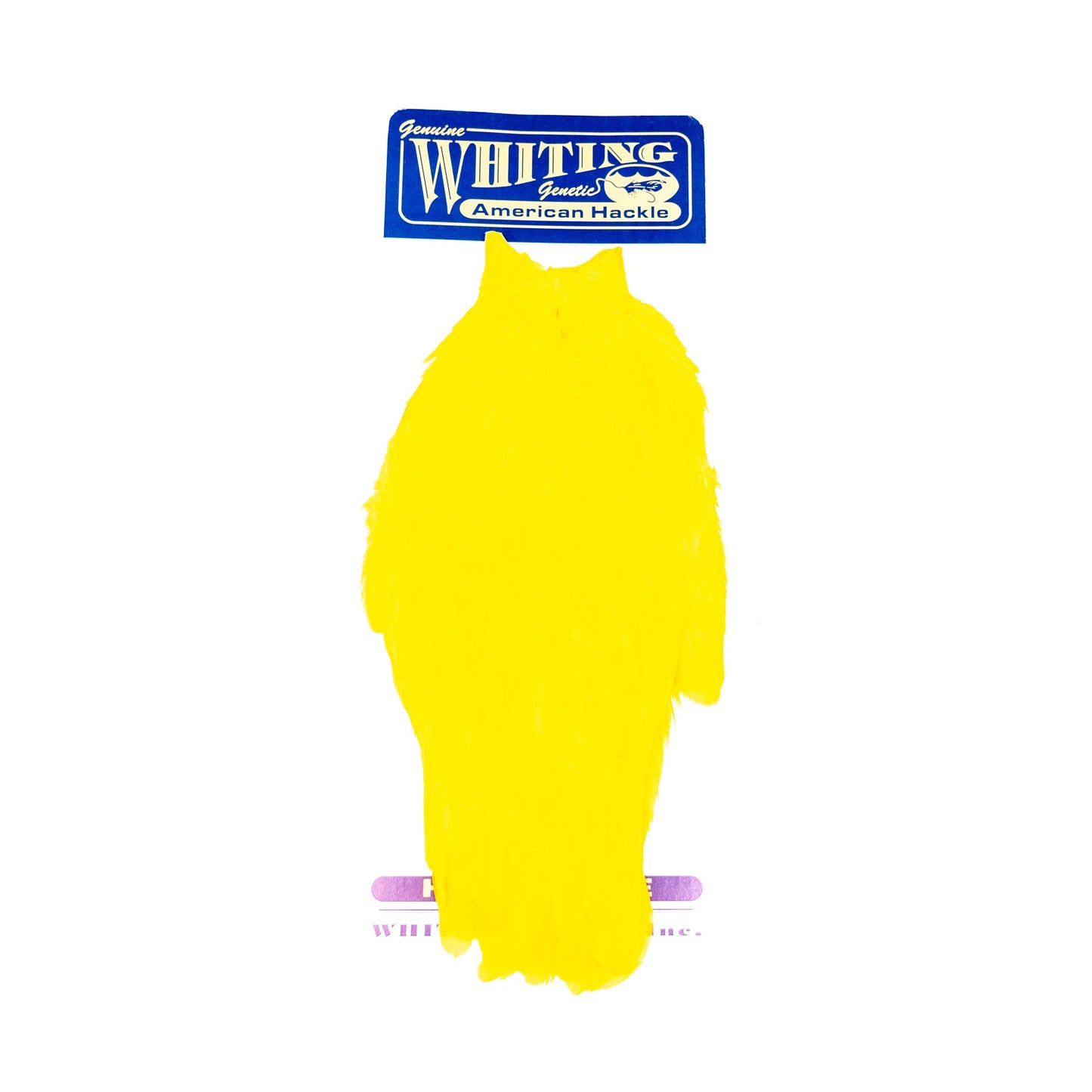 Whiting American Hen Cape