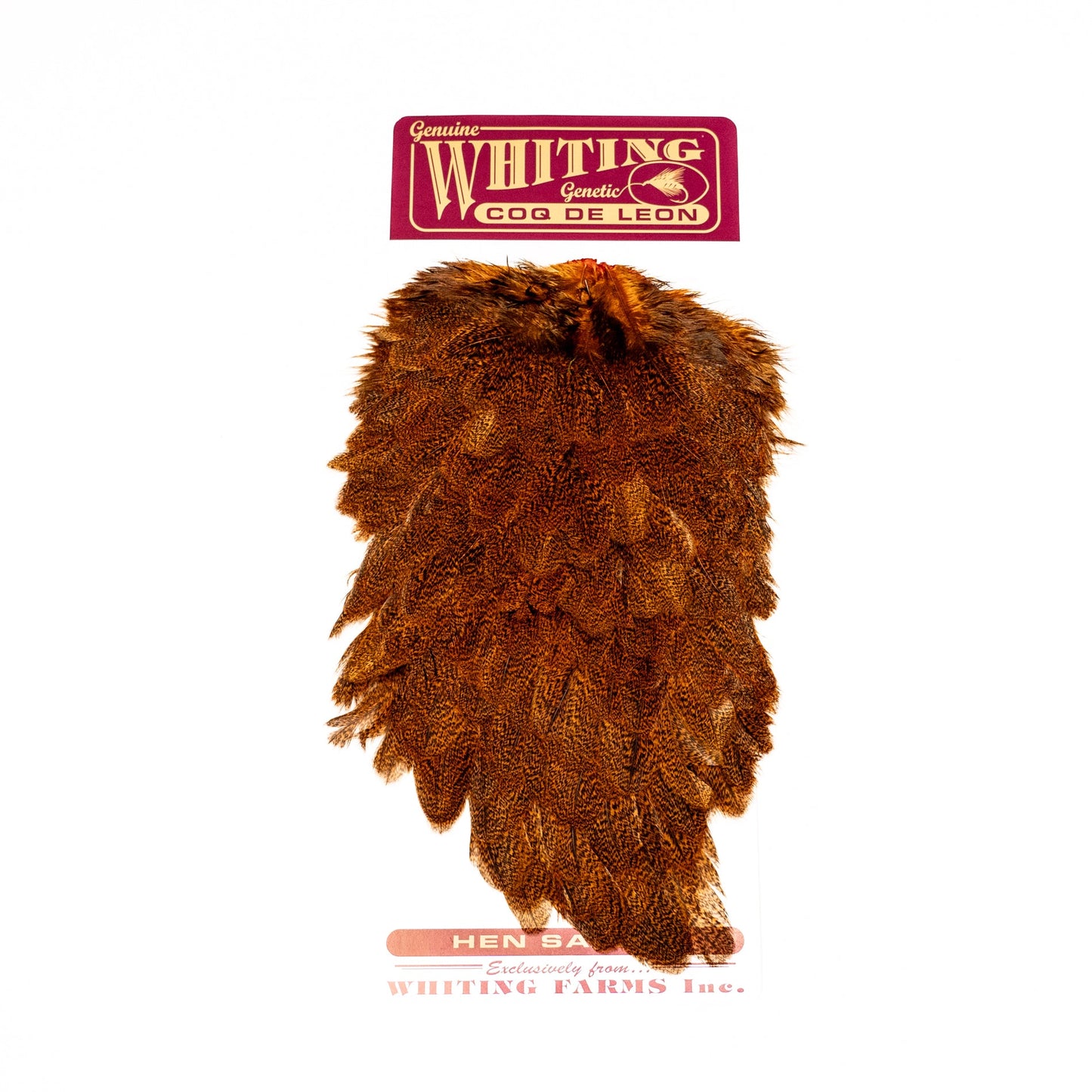 Whiting Coq de Leon Hen Saddle